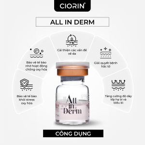 ALL IN DERM cong dung