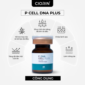 P cell web cong dung